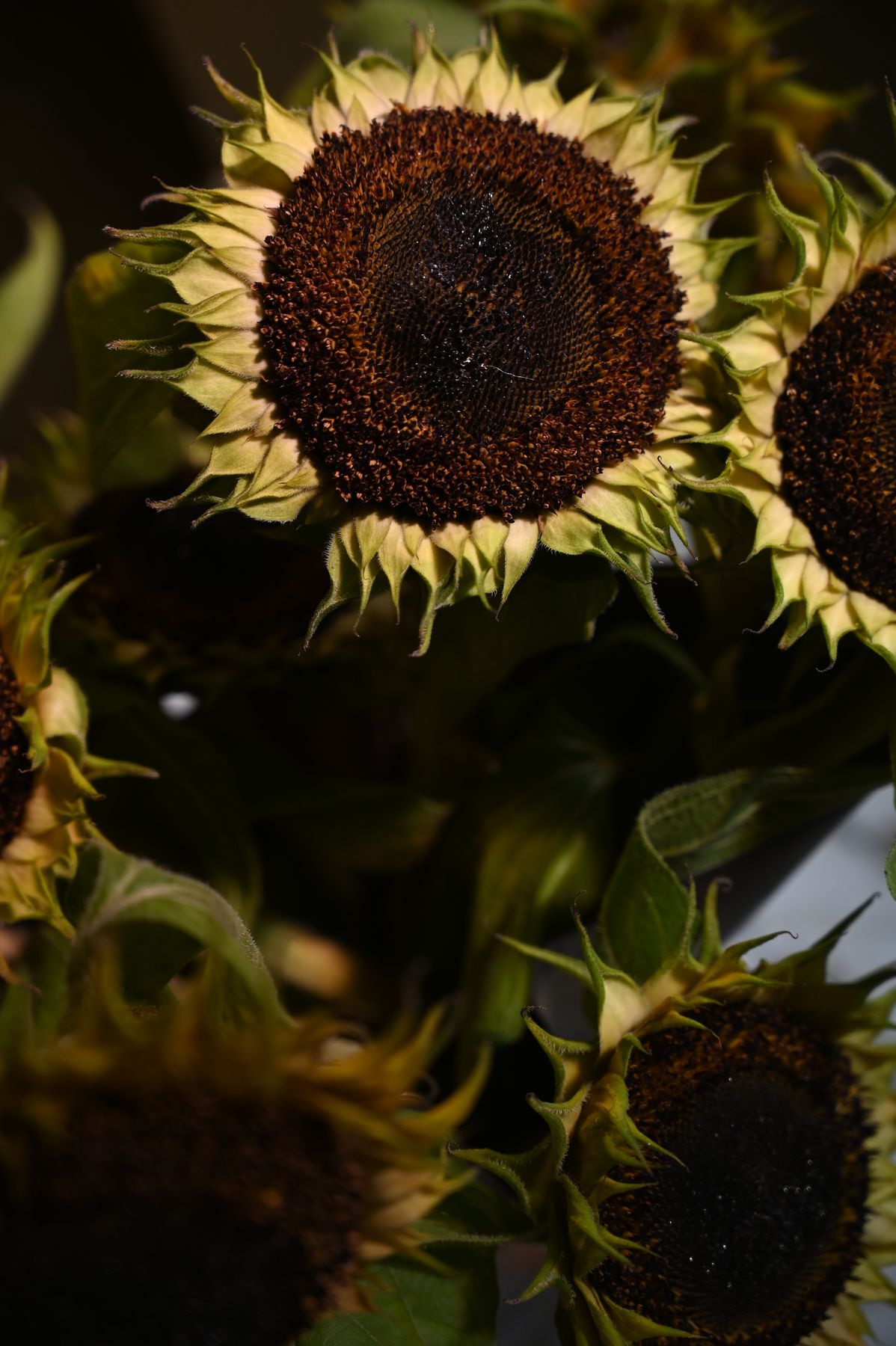 Detail van zonnebloemen in een compositie