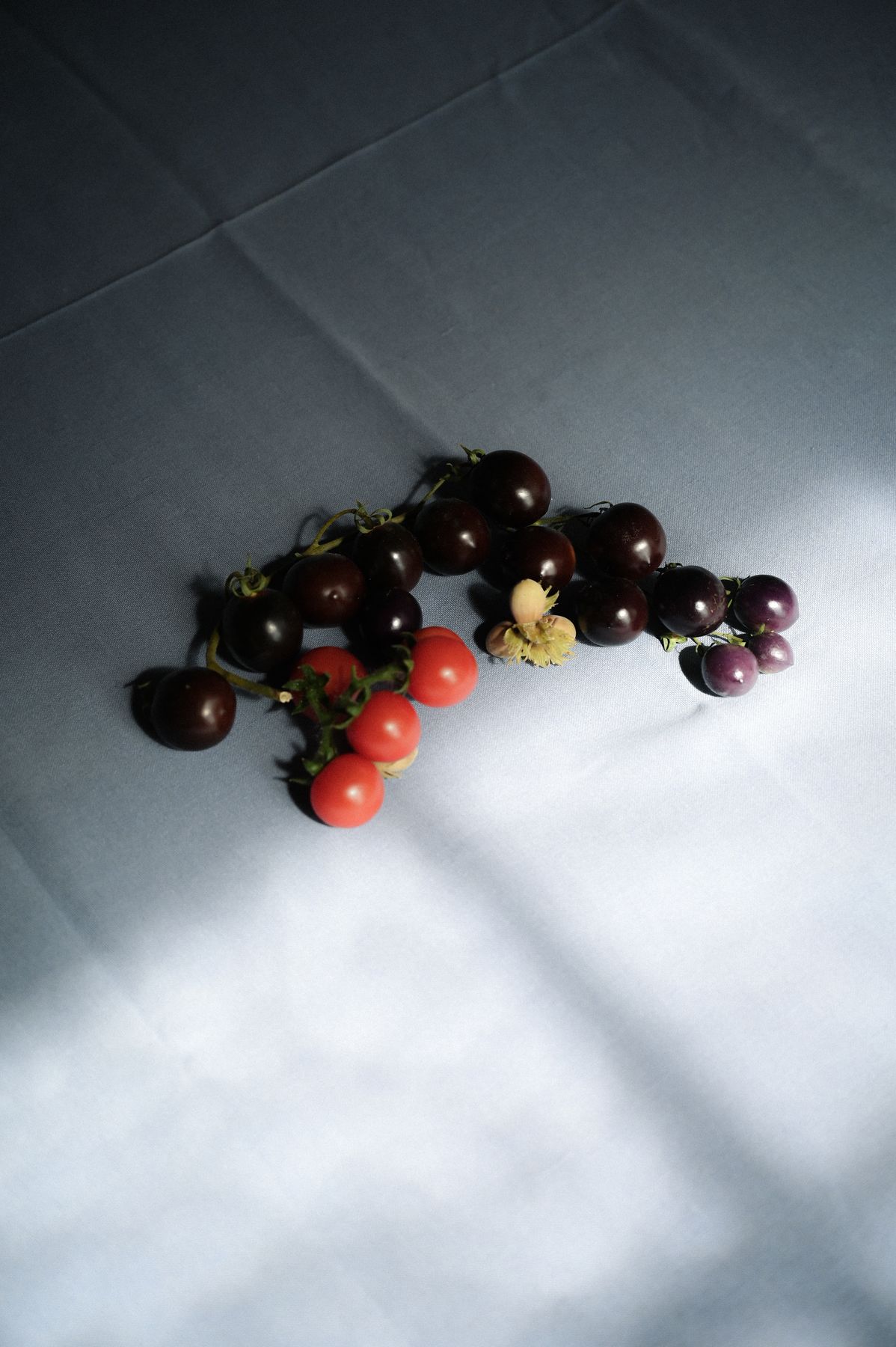 Stilleven met tomaten en bloemen